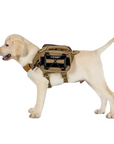 Paquete de Arnés con Mochilas Laterales "BEAST MOJO K9 PACK SET"