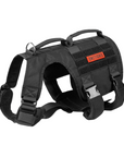 Arnés para Rehabilitación "GLADIATOR SUPPORT"
