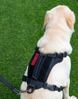 Arnés Táctico para Perro "FIGHTER BEETLE"