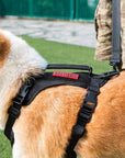 Arnés Táctico para Perro "FIGHTER BEETLE"