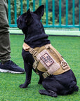 Arnés Táctico para Perro "BEAST MOJO"