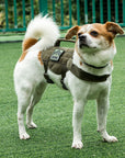 Arnés Táctico para Perro "BEAST MOJO"